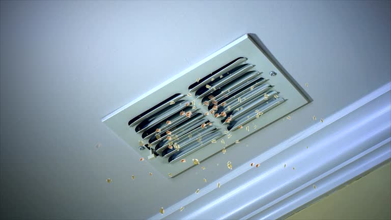 Affordable HVAC Duct Cleaning in Forest City, PA